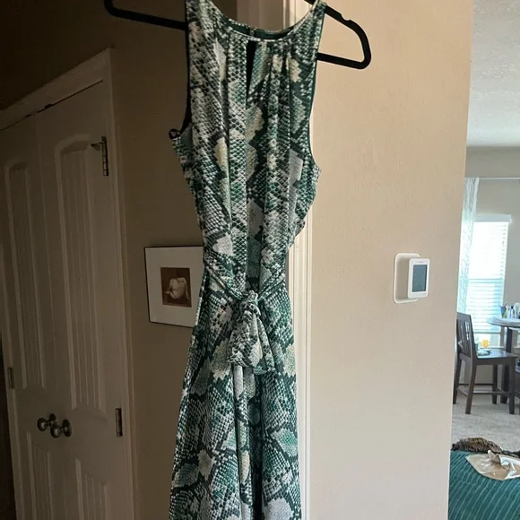 Tahari | Dresses | Tahari Snake Skin Green Silk Flowy Tie Waste Maxi Dress  Like New Size 4 | Poshmark